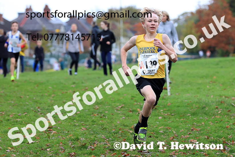 Boys under-13s, 2024 Northern Cross Country Relays, Graves Park, Sheffield.   Photo: David T. Hewitson/Sports for All Pics